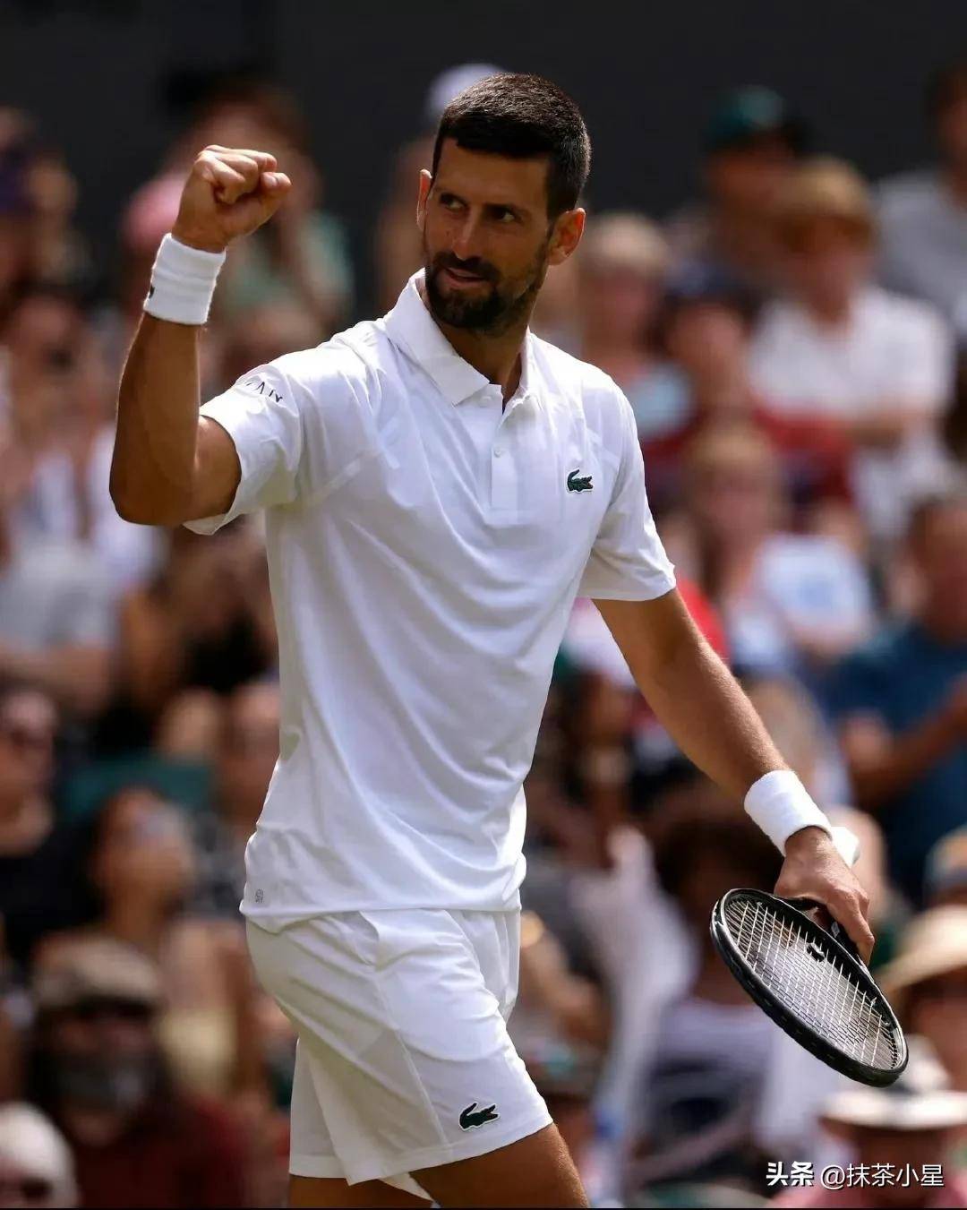开云APP-戴维斯杯横扫温网，德约科维奇惊艳四座的简单介绍